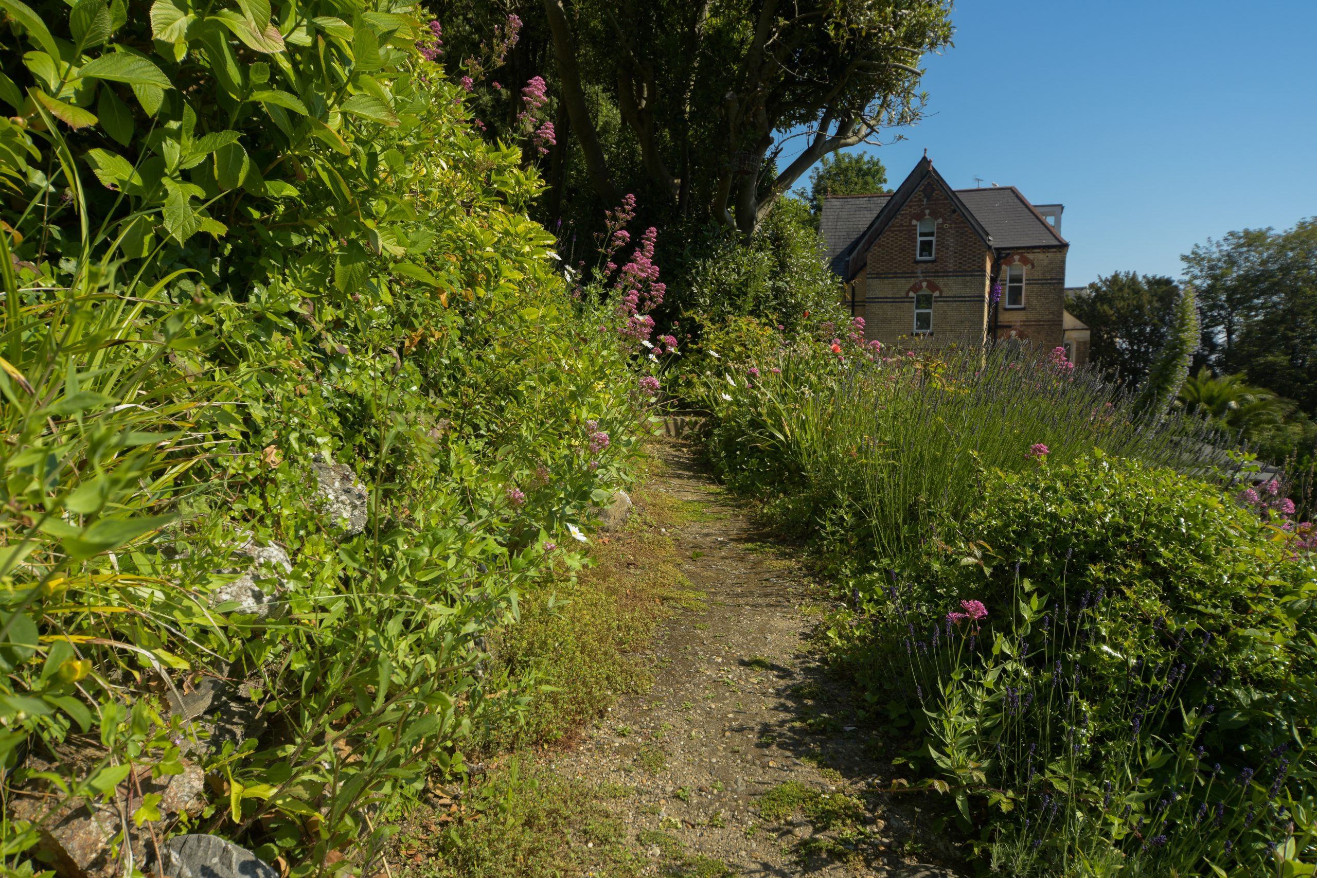 Garden path 3